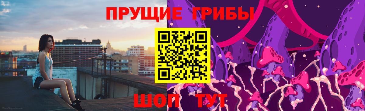 Саров  закладка  Вход с VPN  Псилоцибиновые грибы мухоморы 